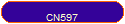 CN597